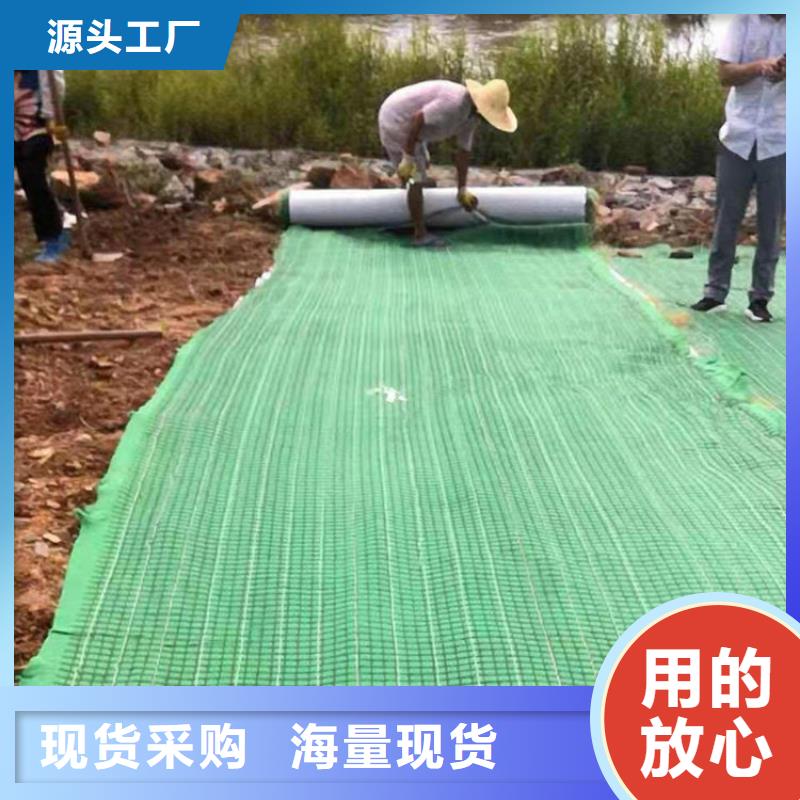 加筋抗冲生物毯-公路植生毯-抗冲椰垫当地服务商