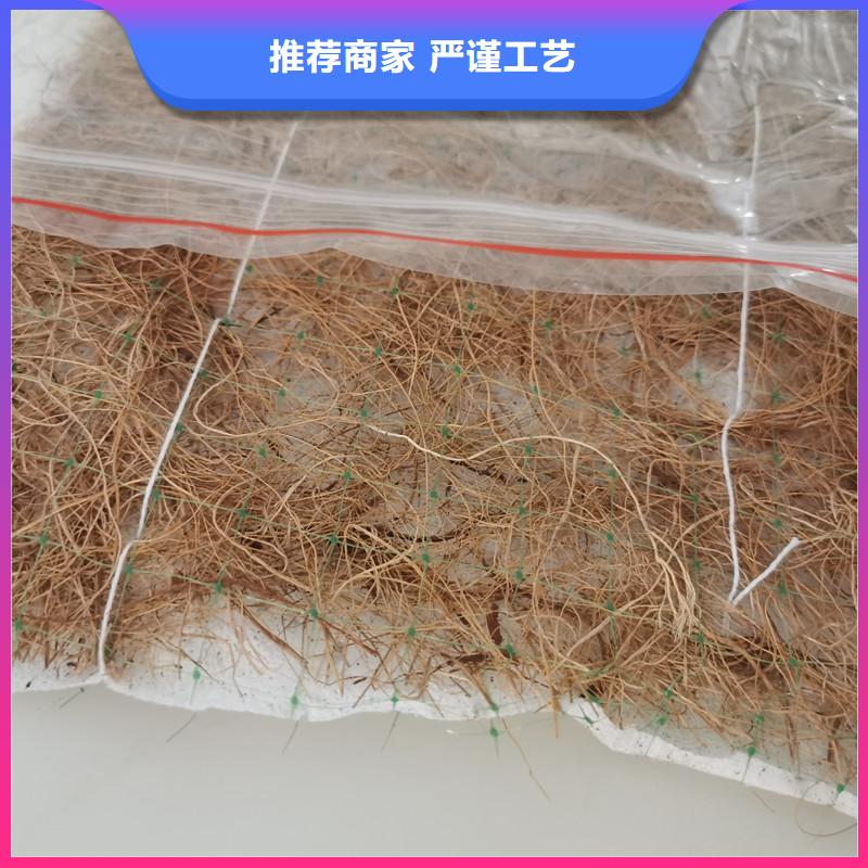 护坡植被植草毯-椰丝生态毯品质优选