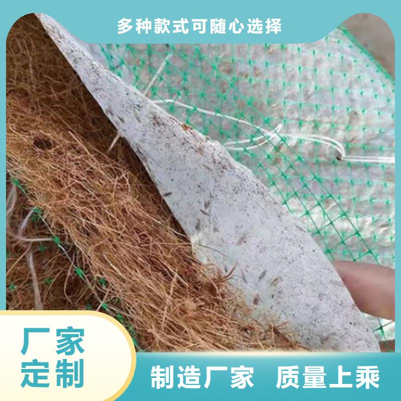 植物生态防护毯-加筋抗冲生物毯同城制造商