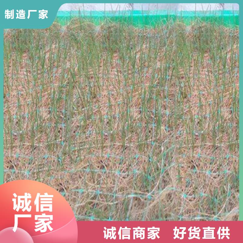 植物纤维毯-加筋抗冲生物毯满足客户所需