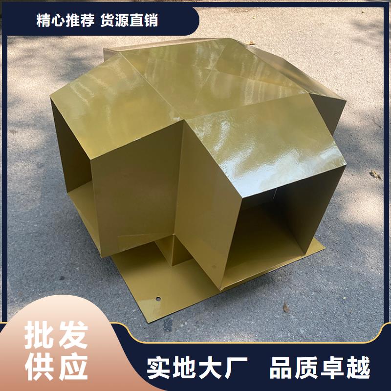 福州屋顶建筑烟道C-FD防倒灌上门测量尺寸同城制造商