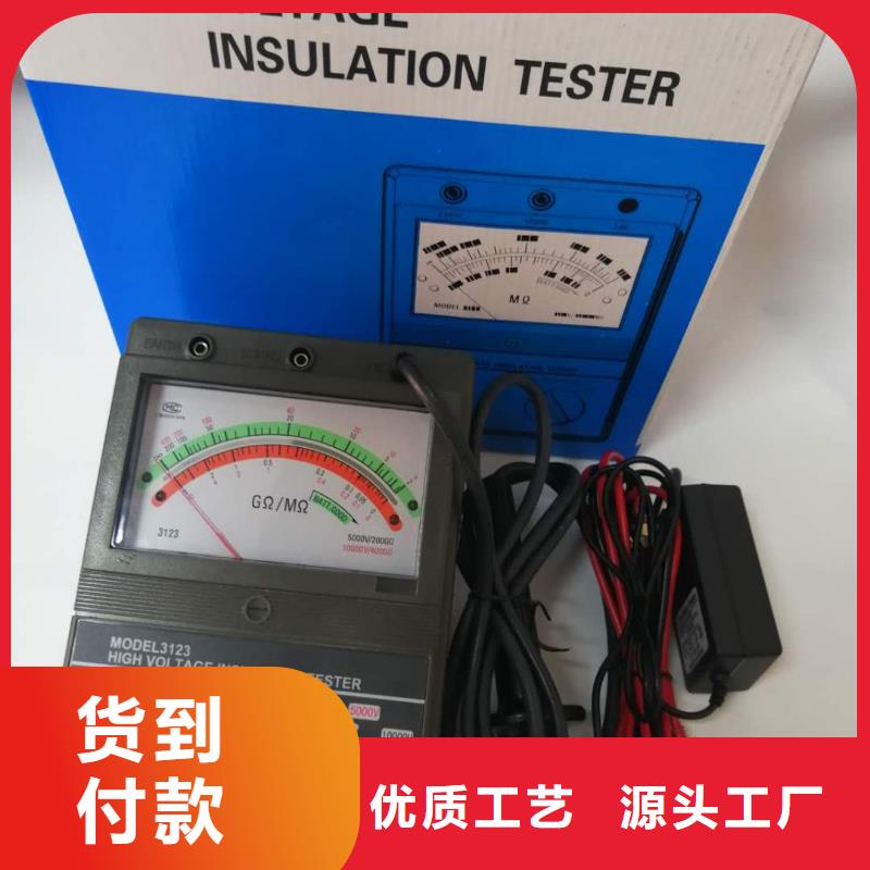 电动摇表参数图片选择大厂家省事省心