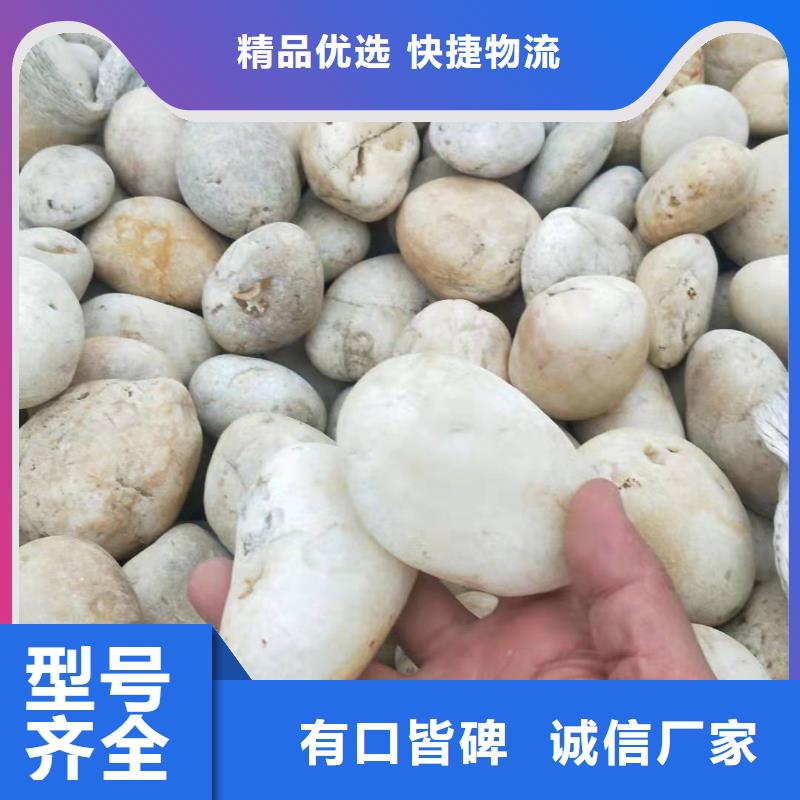 氨氮去除剂的主要成分发货快品质高本地货源