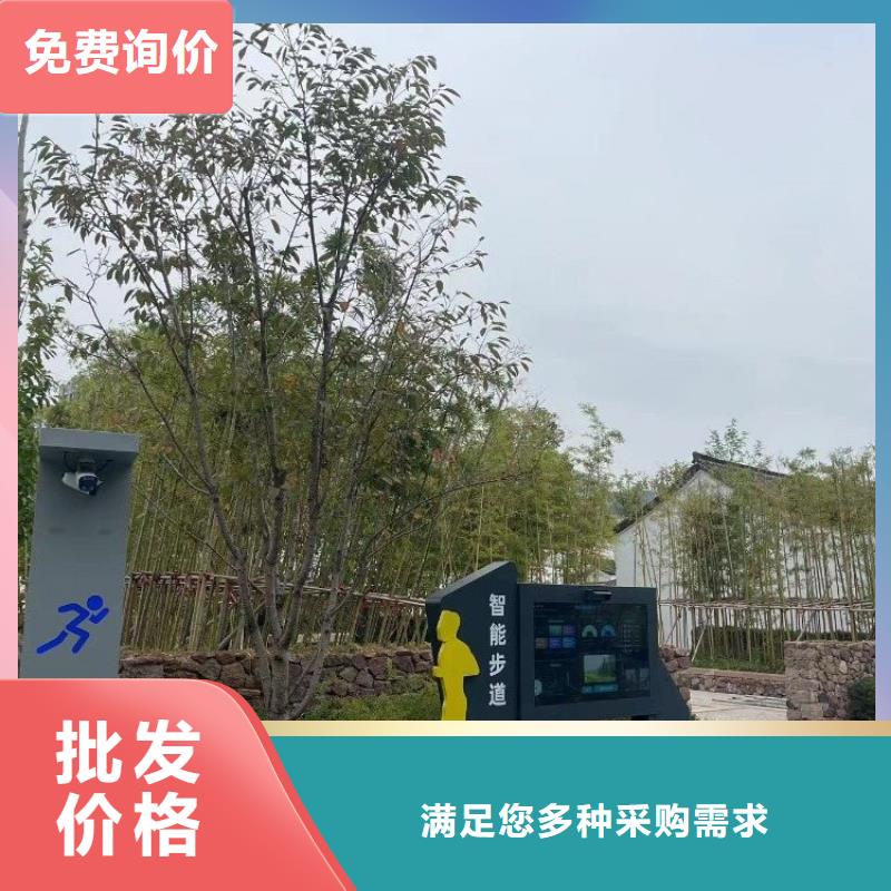 小区智慧跑道厂家（维艾狄尔）厂家质量过硬