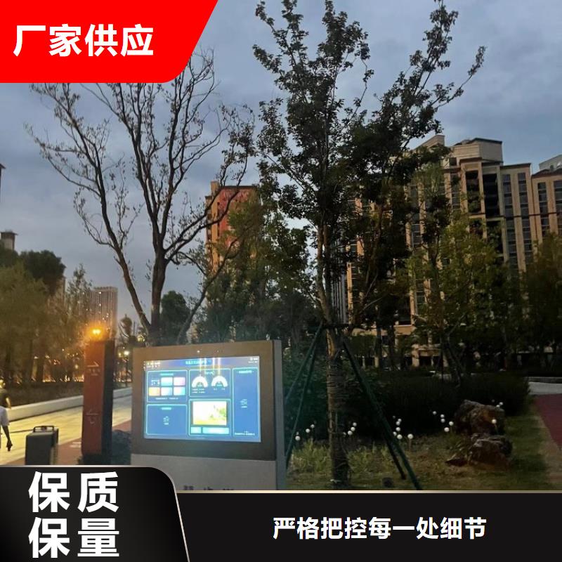 光影陪跑多少钱优势