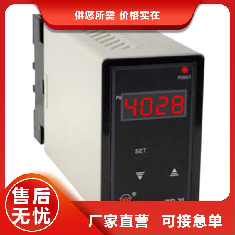 智能显示仪SZNJ-C403-02-23-HL-P大品牌放心购本地品牌