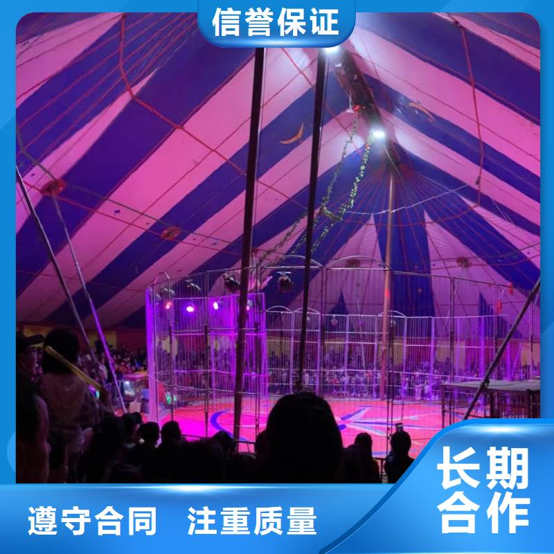 马戏团表演租赁活动庆典当地供应商