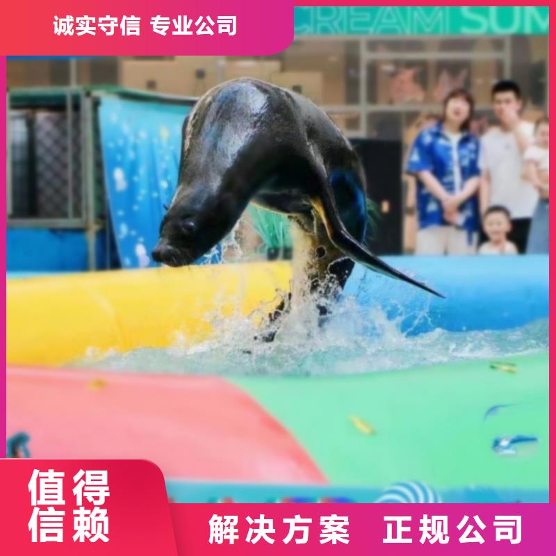 海洋生物展出租一手资源实力商家