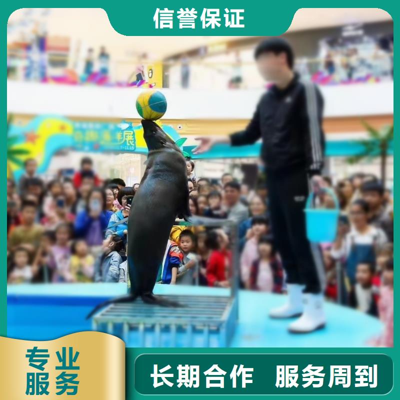 海洋生物展租赁丰富多彩本地厂家