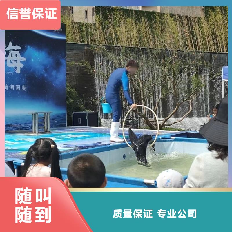 海洋生物展租赁附近同城公司