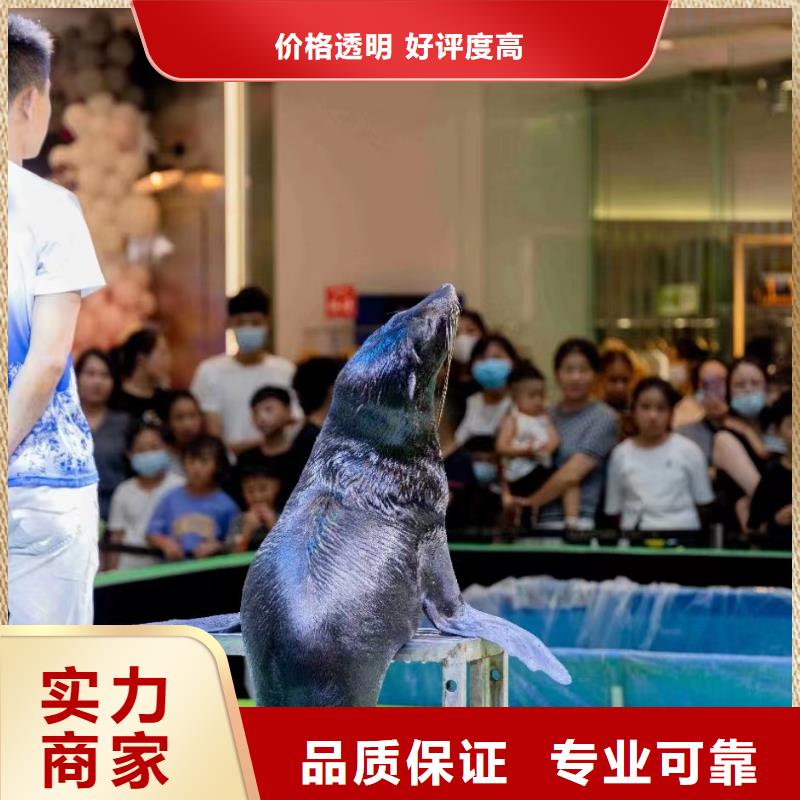 ​海洋生物展出租联系方式当地货源