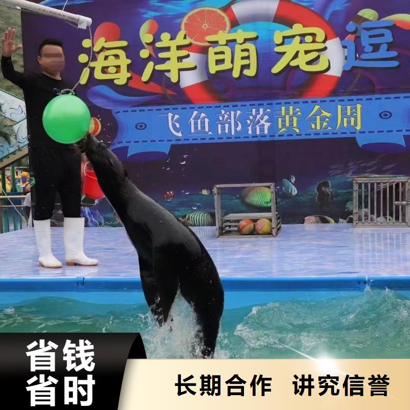 海洋生物展出租价格美丽