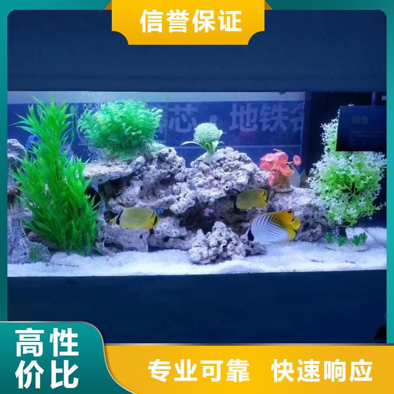 海洋生物展出租自产自销放心之选