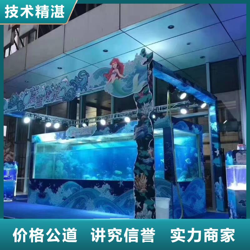 海狮表演租赁海洋动物技术精湛