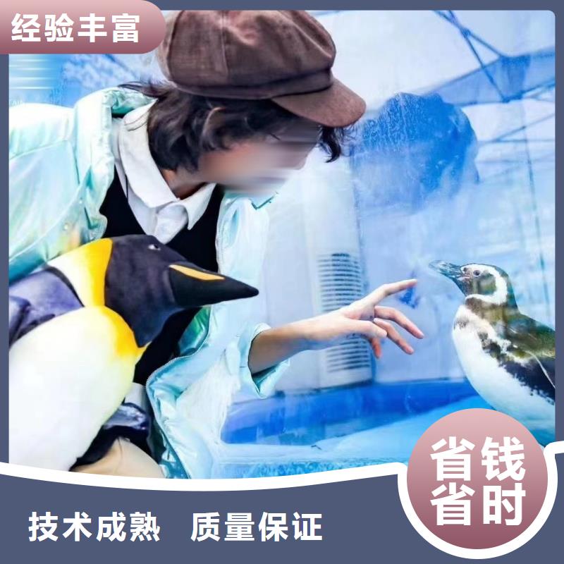 海洋生物展租赁本地服务商