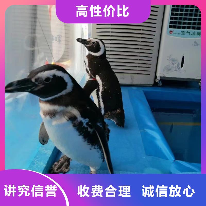 海洋生物展出租一手资源售后保障