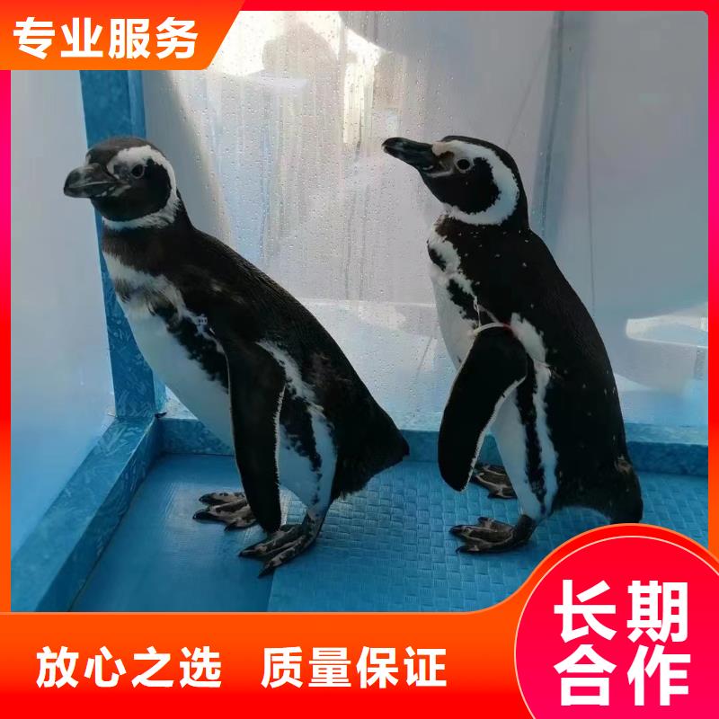 海洋生物展出租联系方式快速