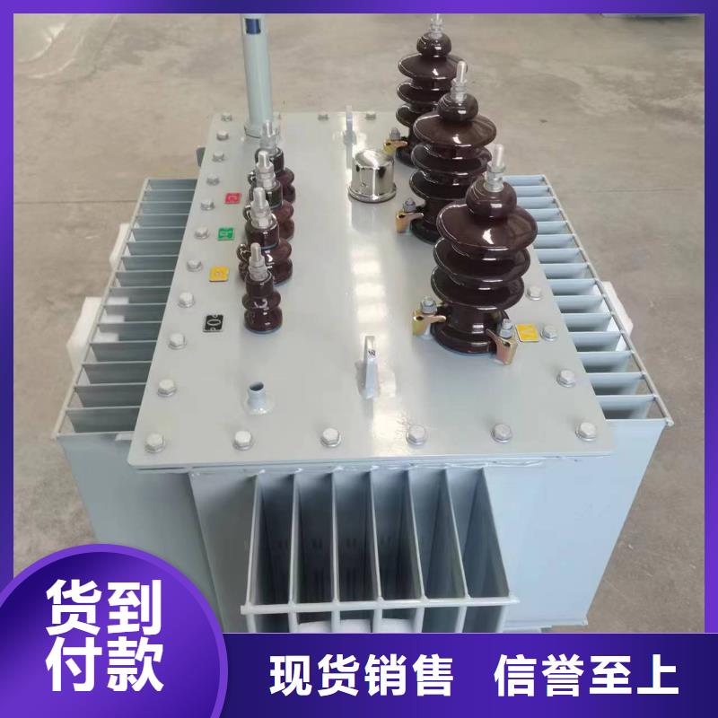 变压器厂家SH17-50KVA10/0.4KV非晶合金油浸式变压器现货价定制速度快工期短