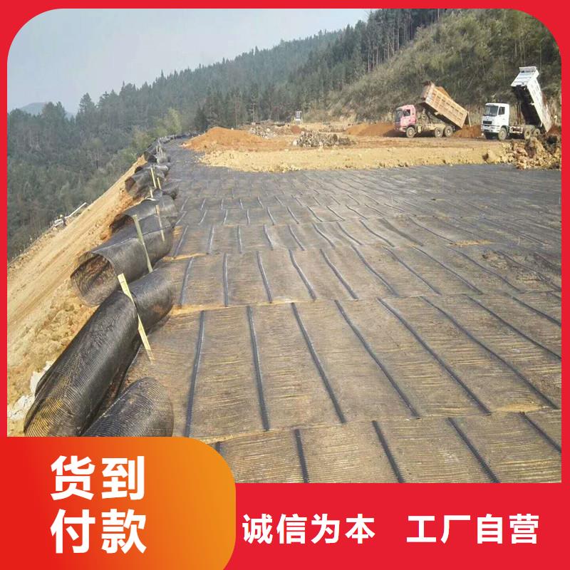 双向塑料土工格栅电话定制零售批发