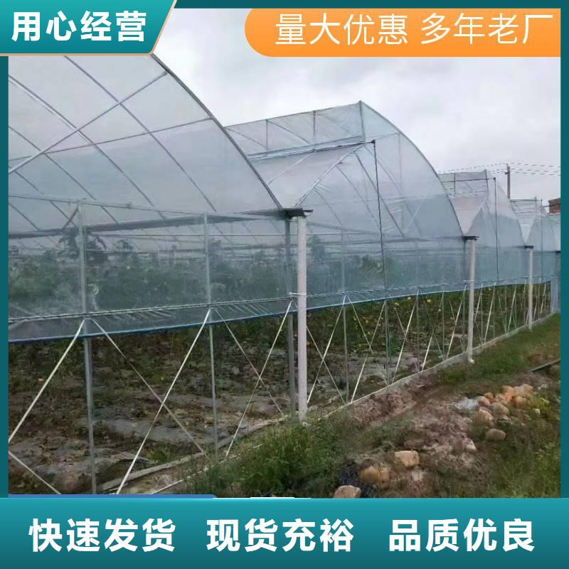 蔬菜温室大棚钢管厂家批发品质放心2024-全国配送当地制造商