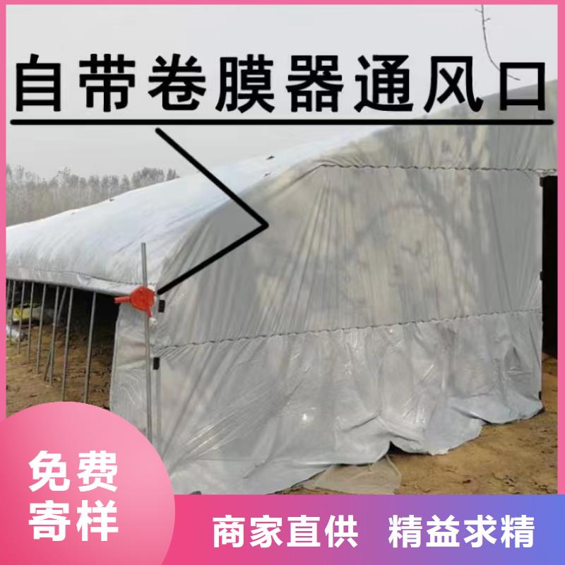 阜宁县蔬菜大棚钢管实体厂家当地经销商