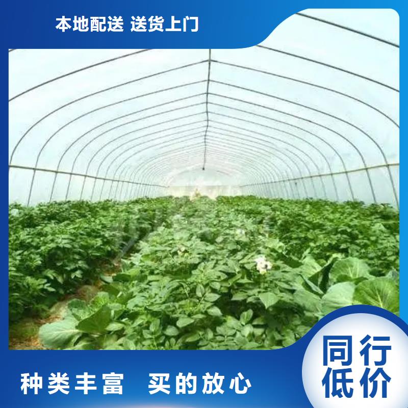 穆棱县蔬菜大棚管多少钱一亩正规厂家诚信商家