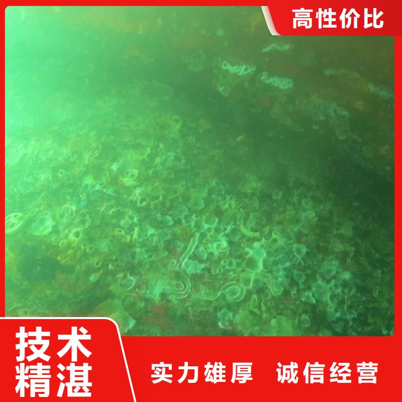 水下录像欢迎来电同城生产商