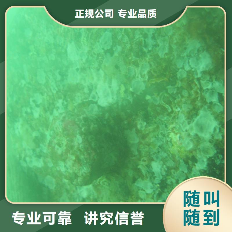 桥梁检测来电咨询当地公司