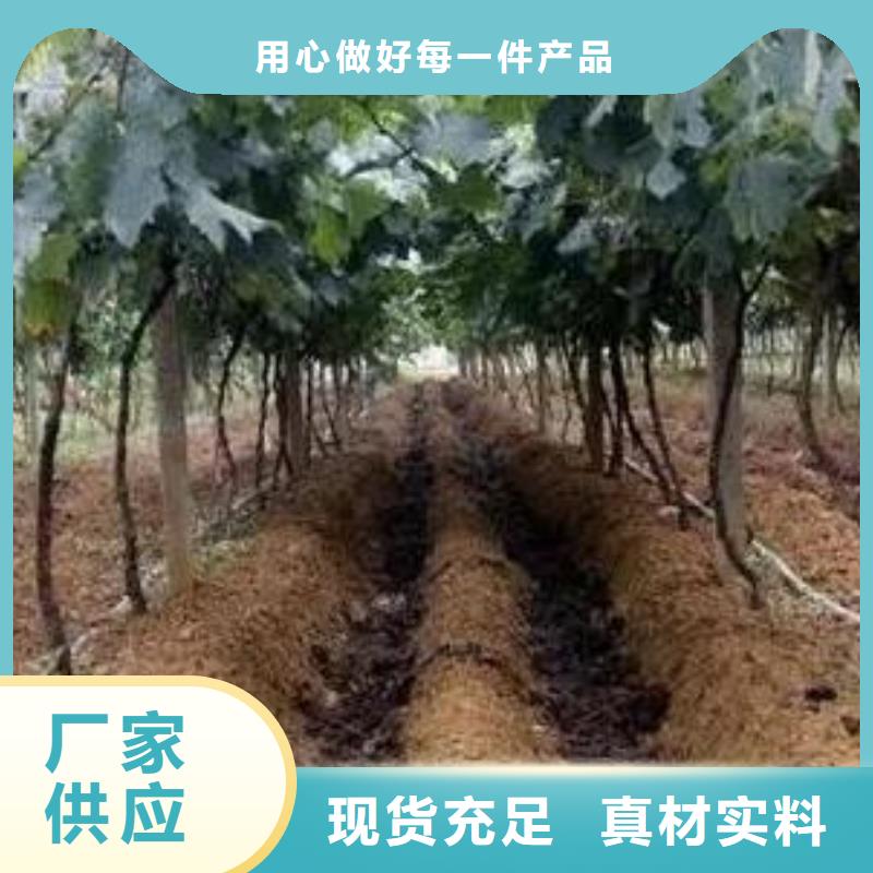 山东淄博淄川干鸡粪块庄稼的好肥料设计合理