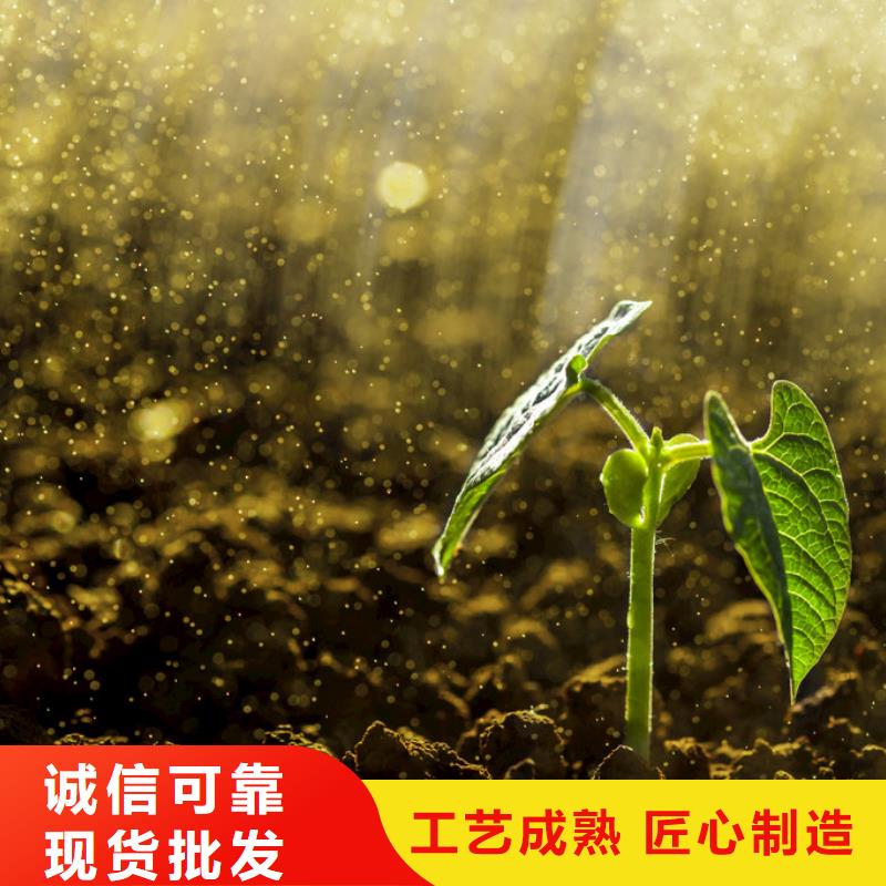 涟水发酵羊粪原料正宗质量三包