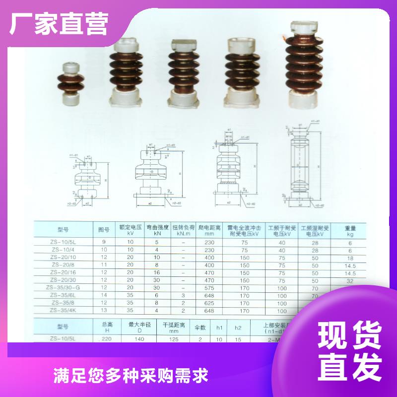 FZSW-110/10复合绝缘子同城公司