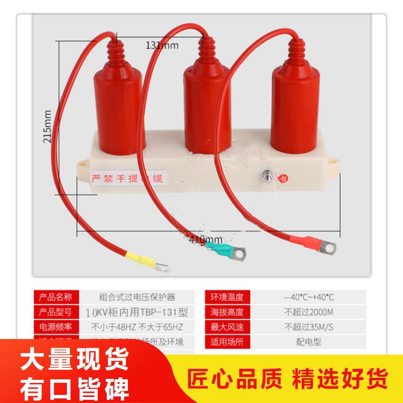 SCGB-B-12.7F/131中性点氧化锌避雷器真诚合作