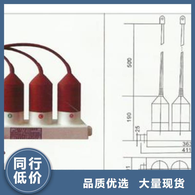 TBP-C-42F/310三相组合式氧化锌避雷器实体厂家大量现货