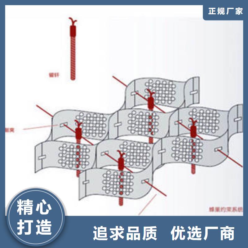 九江蜂窝土工格室哪个好-蜂窝土工格室列表同城生产商