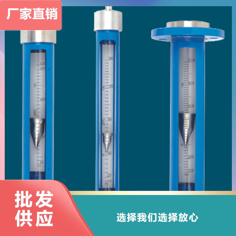 环县VA30-15F臭氧玻璃管浮子流量计厂家当地厂家