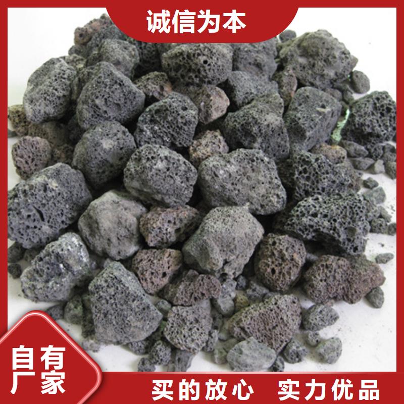 陶粒硝化效果好大量供应量大更优惠