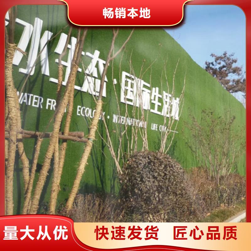 工地围墙用防草坪拥有多家知名企业的使用经验用心做品质