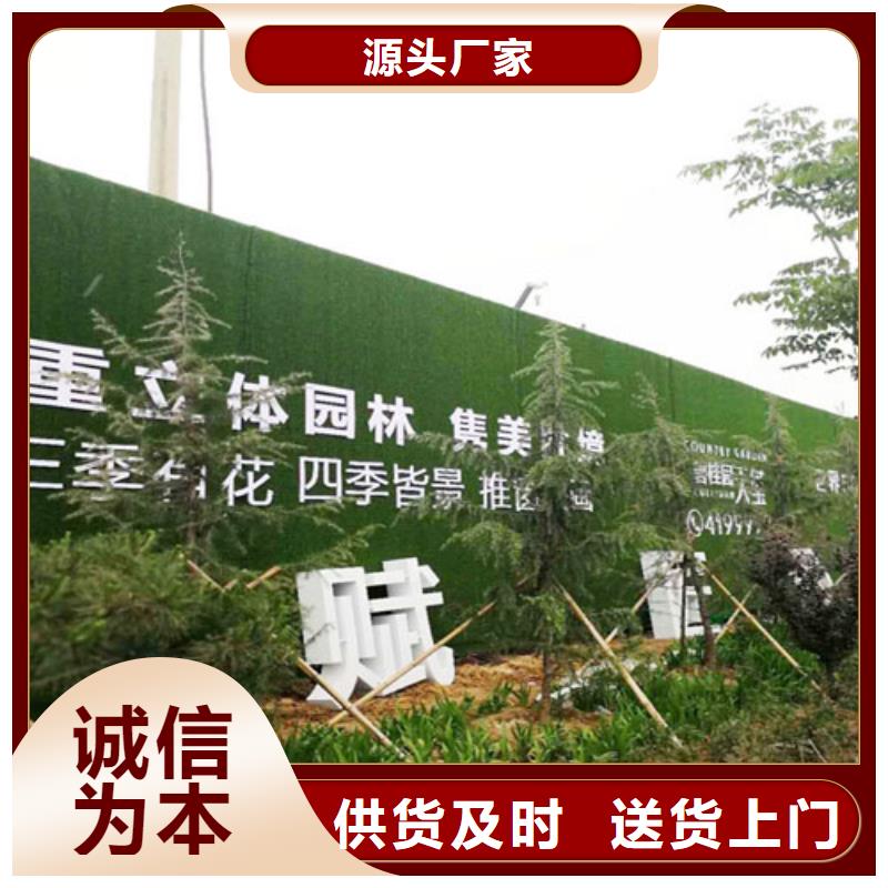 阳高绿植草皮招商公司产地采购