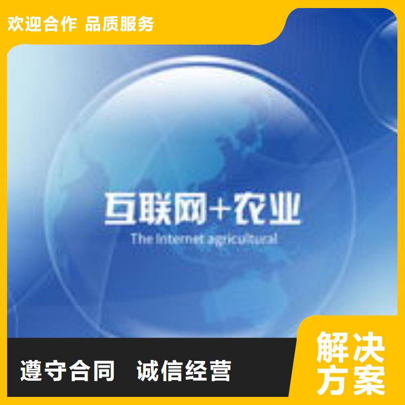 【马云网络,网络公司实力公司】质优价廉