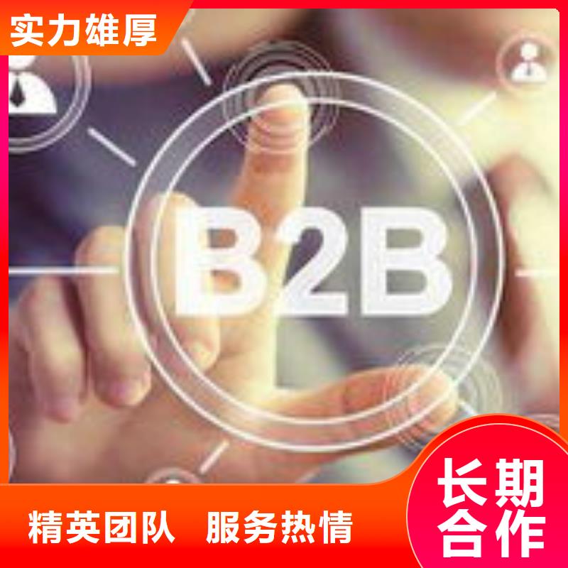 马云网络【b2b平台推广】精英团队本地公司