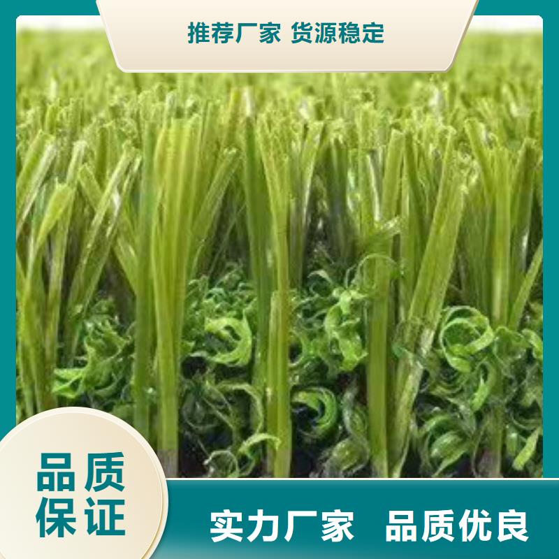 人工草坪选择我们没错