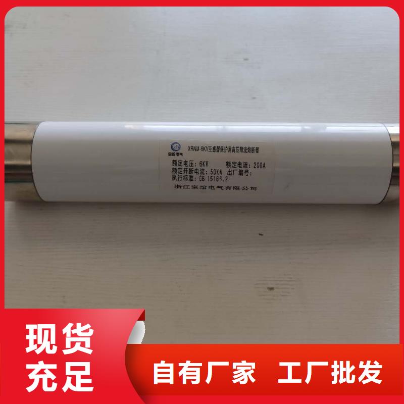 保护电压互感器用高压限流熔断器XRNP1-12/0.5A快速报价