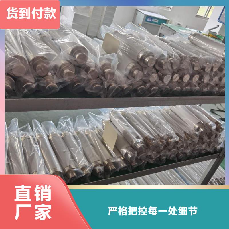 12KV高压熔断器高压限流熔断器保险管XRNT精选货源