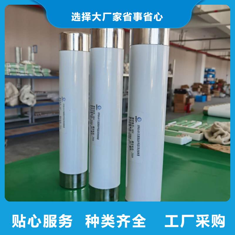 变压器保护用高压限流熔断器XRNT1-3.6KV/16A厂家颜色尺寸款式定制