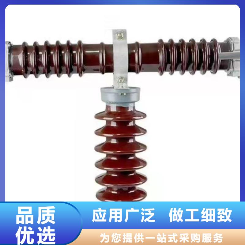 保护电压互感器用高压限流熔断器XRNP1-24/0.5A正品低价工厂现货供应