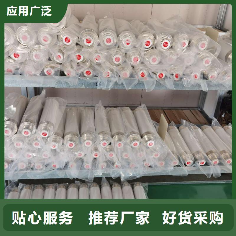 保护电压互感器用高压限流熔断器XRNP1-3.6/2A同城生产厂家