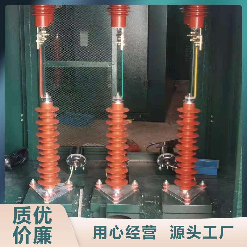 线路有串联间隙避雷器Y10CX-216/560当地品牌