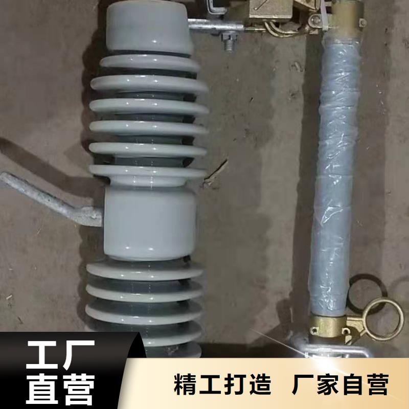 供应高压跌落式熔断器RW12-33/200A陶瓷熔断器附近服务商