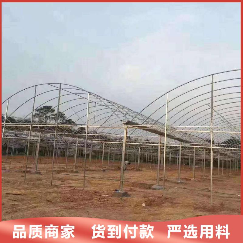 多肉辽宁薄膜连栋日光温室大棚建设设计制造销售服务一体