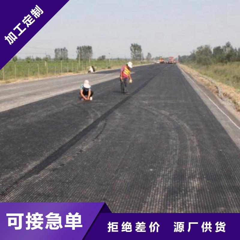 双向塑料土工格栅【复合土工膜】量大从优当地生产厂家